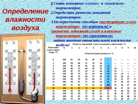 Регулярный полив и оптимальная влажность воздуха