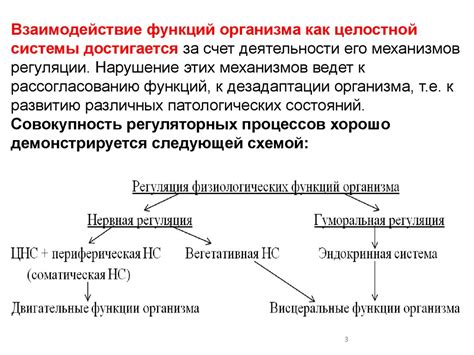 Регуляция гомеостаза в организме