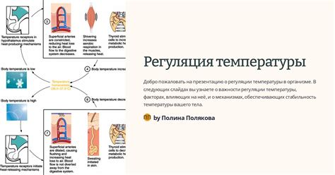 Регуляция температуры ног