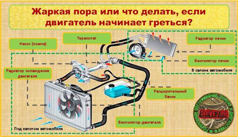 Режимы движения и энергосберегающая система в автомобиле Tesla