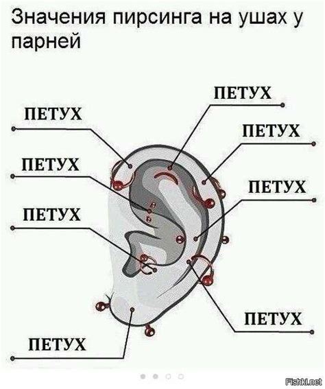 Рекомендации перед проколом ушей