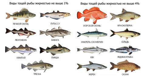 Рекомендации по выбору речной рыбы