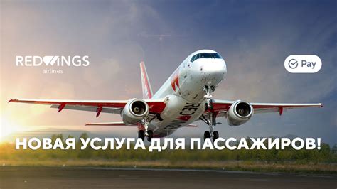 Рекомендации по объединению багажа для пассажиров Red Wings