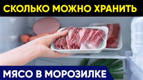 Рекомендации по оптимальному времени хранения в морозилке