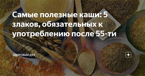 Рекомендации по приготовлению и употреблению кукурузной каши после эпизода рвоты