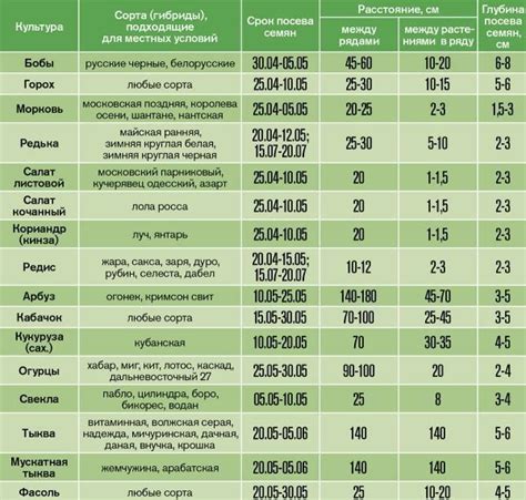 Рекомендации по сохранению урожая и здоровью растений