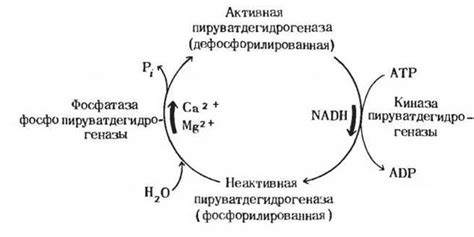 Рекомендации по употреблению лимонной кислоты в пищу: