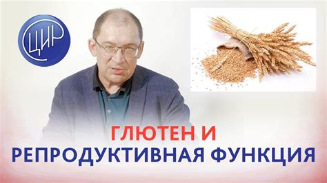 Репродуктивная функция у мужчин: причины и способы лечения