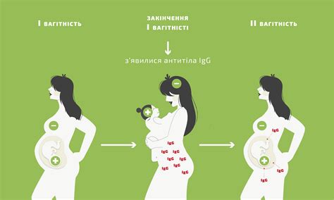 Риски для плода от отличия по резус-фактору