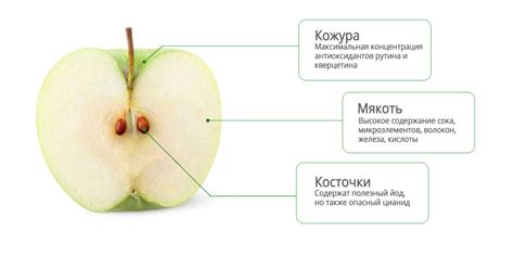Риски употребления яблок с семенами