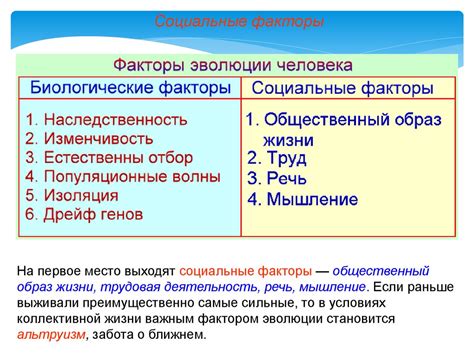 Роль биологических факторов в процессе завоевания сердца представительницы противоположного пола