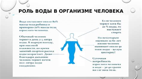 Роль воды в поддержании здоровья человека и функционировании его организма