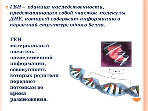 Роль генов в передаче резус-факторов