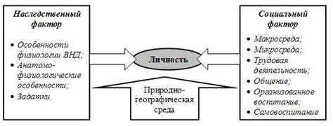 Роль иллюзии свободного выбора в самосовершенствовании и развитии личности