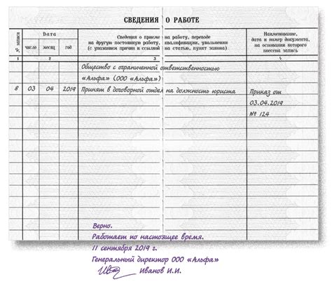 Роль и значение Трудовой книжки: основные принципы и функции