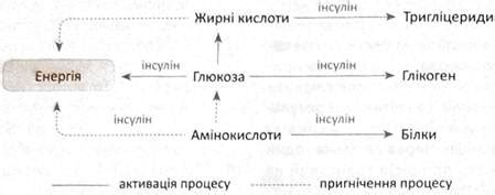 Роль кальция глюконата в регуляции инсулина