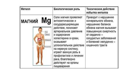 Роль магнезии в организме