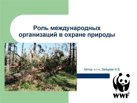 Роль наказания в охране природы, сохранении экосистемы и богатства флоры и фауны