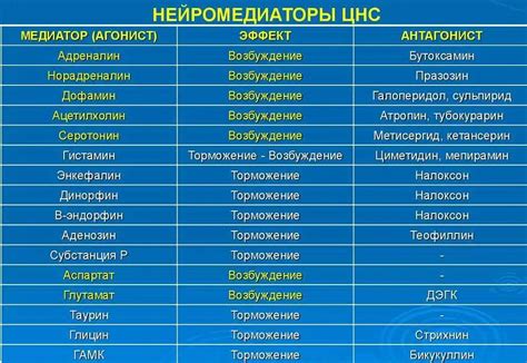 Роль нейромедиаторов в управлении нервными процессами