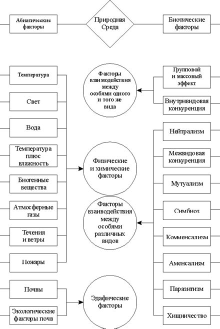 Роль опорных элементов в функционировании механизмов