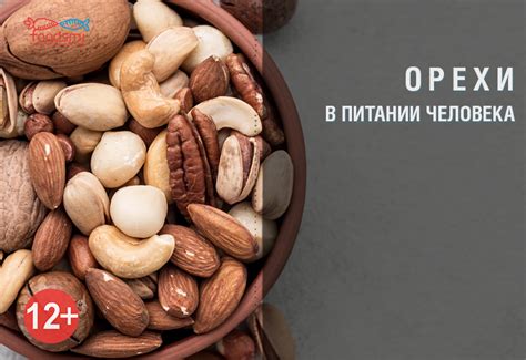 Роль орехов в обеспечении организма омега 3