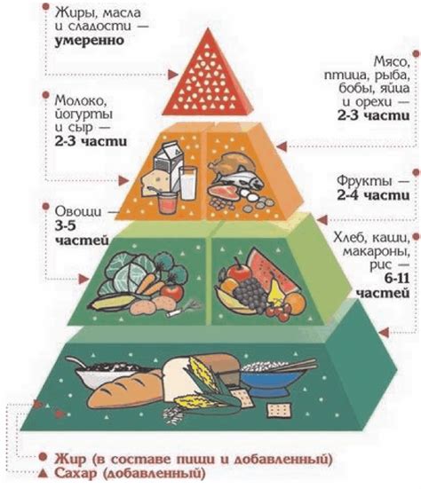 Роль питания в формировании базы