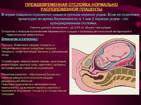 Роль плаценты в защите