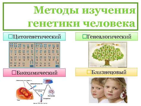 Роль природы и генетики