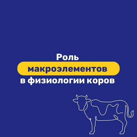 Роль пролактина в функционировании мужского организма