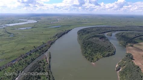 Роль реки Иртыш в экосистеме