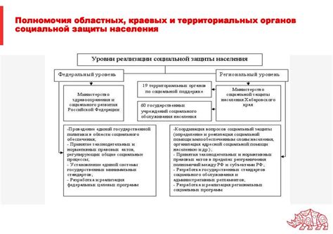 Роль социальной защиты в обеспечении основных потребностей населения