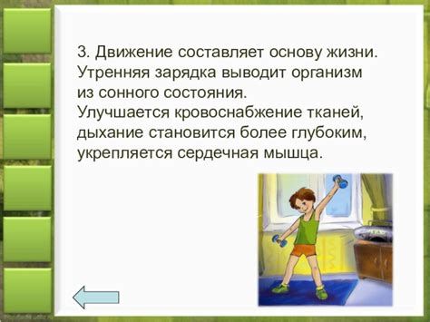 Роль спорта и физических упражнений в укреплении физического и умственного состояния