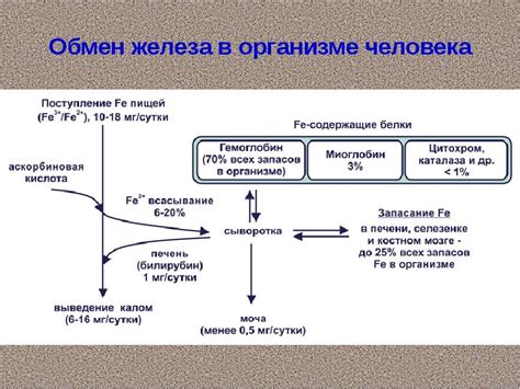 Роль стремлений в жизнедеятельности организма