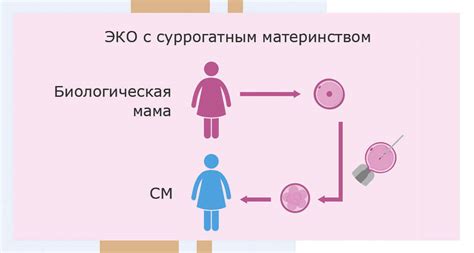 Роль суррогатного материнства в решении проблем родительства без естественных возможностей