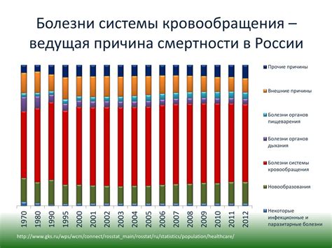 Роль фасоли в снижении вероятности возникновения сердечно-сосудистых заболеваний