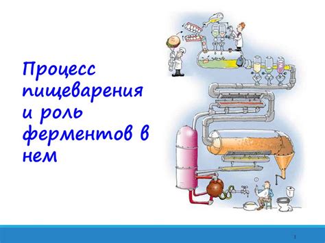 Роль ферментов в процессе переработки