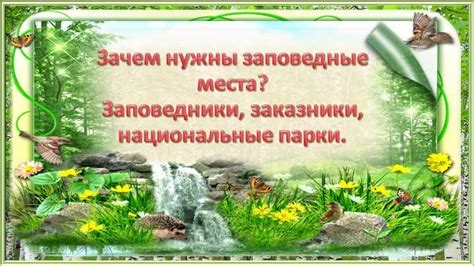 Роль человека в сохранении природы