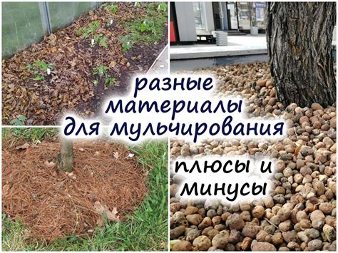 Роль щепы в процессе мульчирования и ее плюсы и минусы