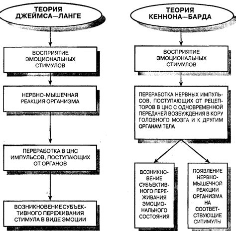 Роль эмоциональных состояний в появлении падений во время сна и пробуждения