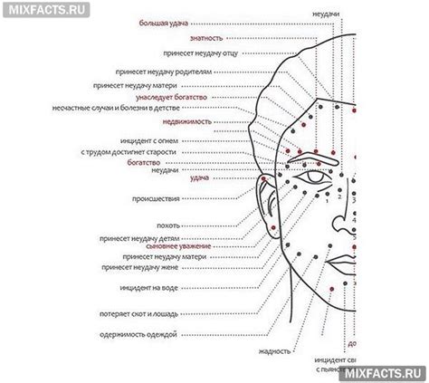 Сакральный смысл родинок на ягодицах мужчин