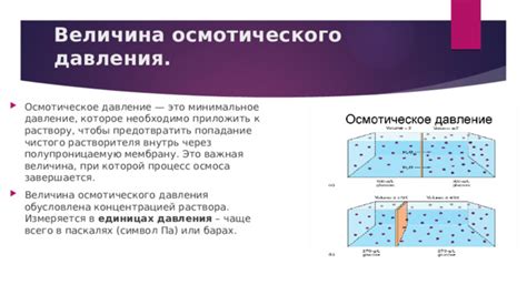 Сало и давление: важная информация