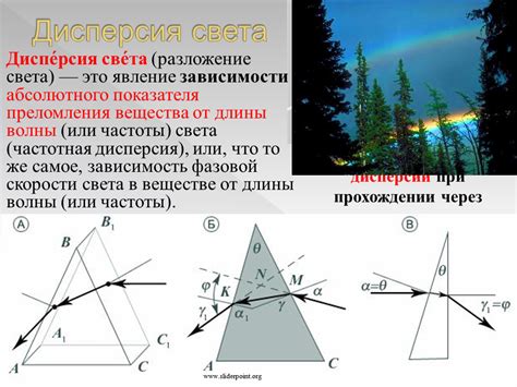 Светорассеяние и отражение