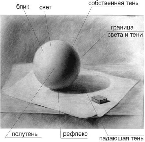 Свет и тень в мире кинематографа