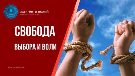 Свобода выбора слов