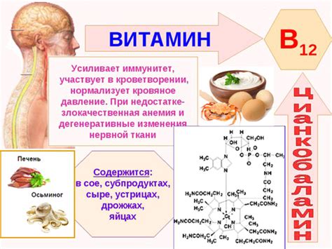 Свойства витамина В12 для организма