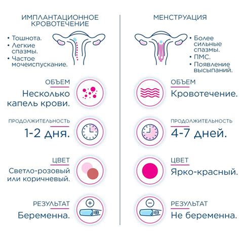 Сдача мазков в дни овуляции