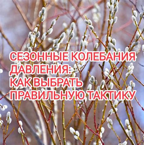 Сезонные колебания