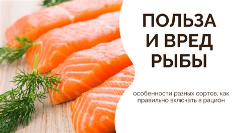 Секреты включения сухой рыбы в рацион