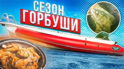 Секреты достижения нежной структуры горбуши