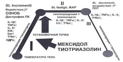 Секреты улучшения биохимического состояния